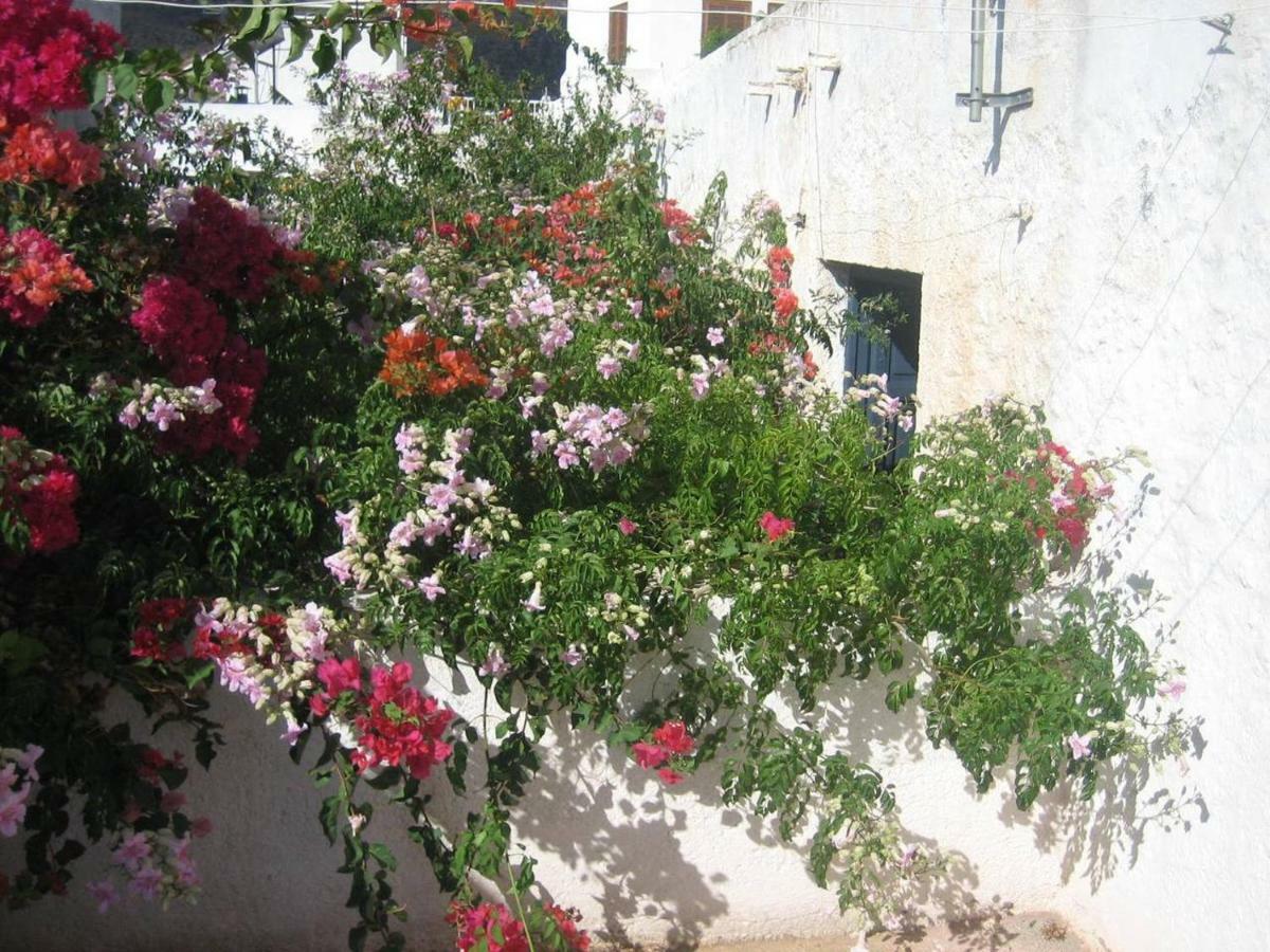 Casa De La Buganvilla Rodalquilar Buitenkant foto